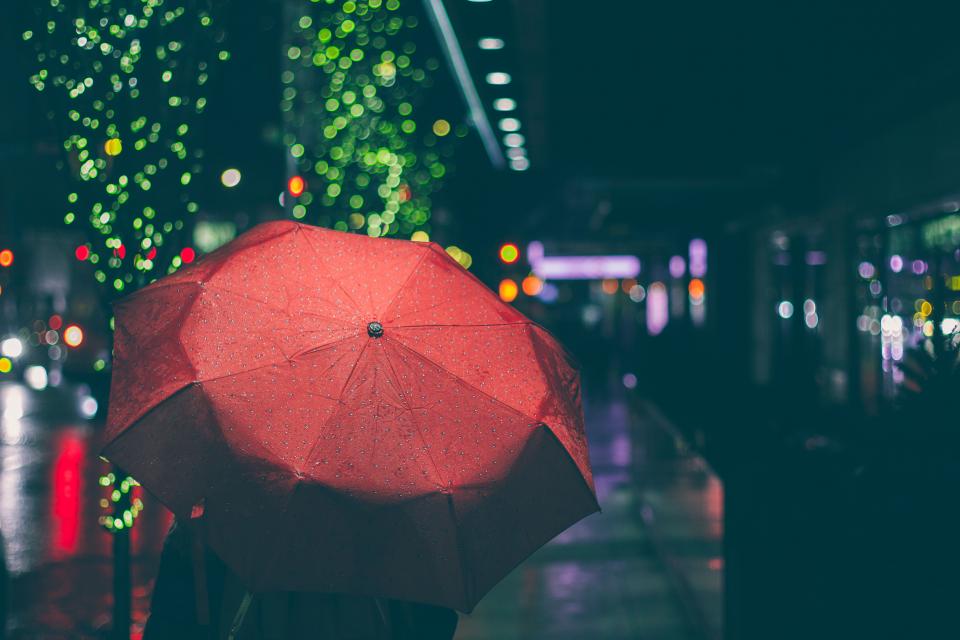 A dog walk in the rain
