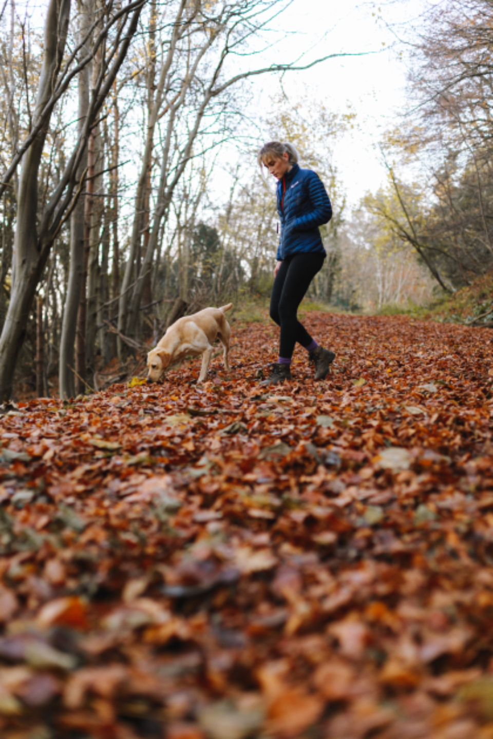 A person walking through autumn woodland