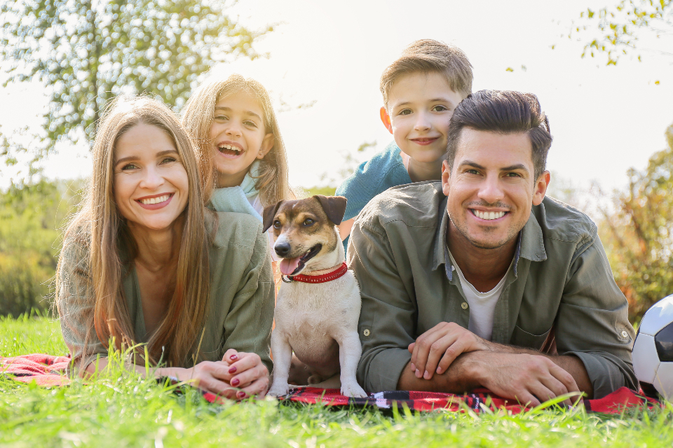 Dogs and owners in a park