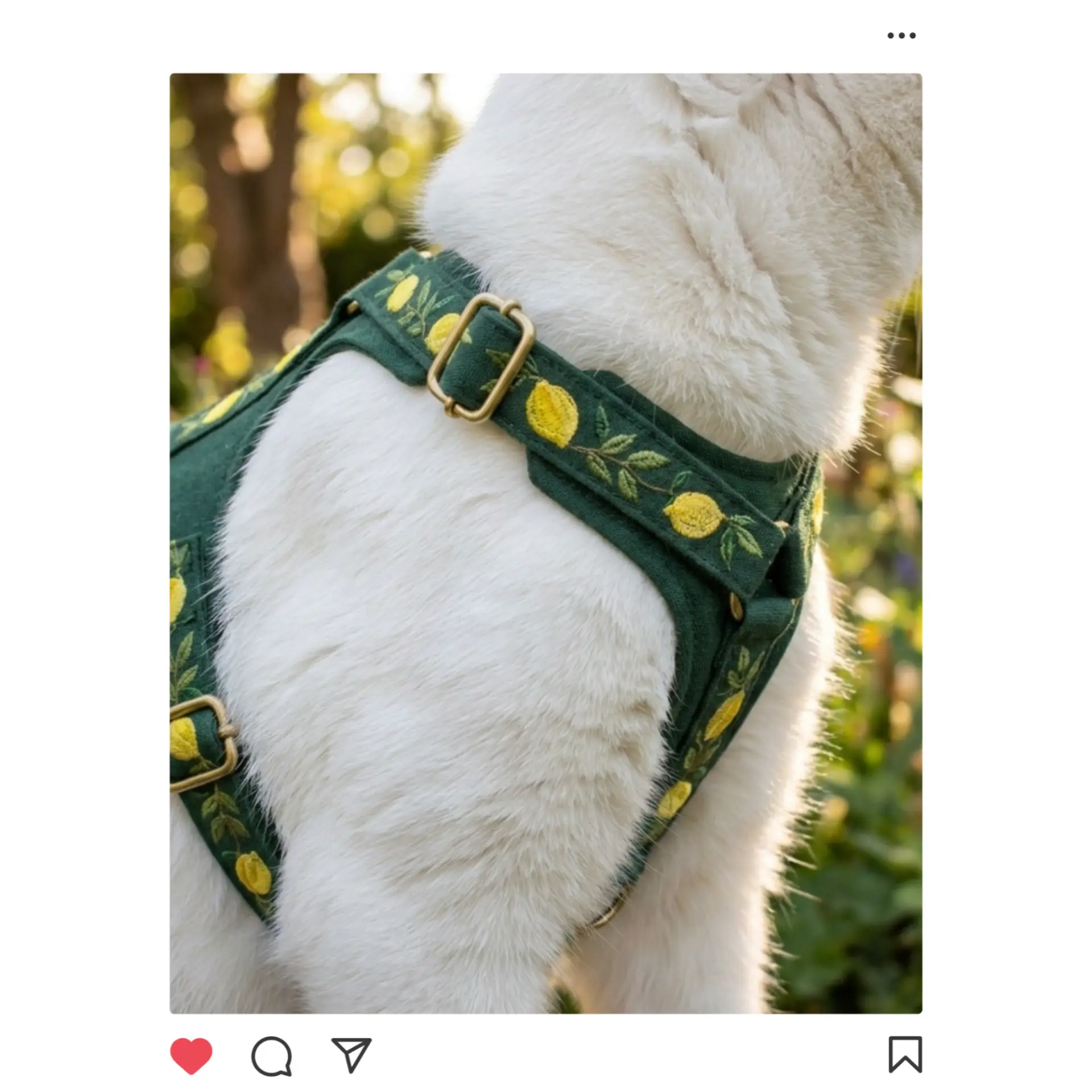 Instagram post from D'Arcy of Innis