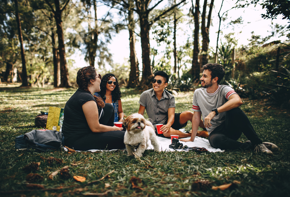 Dogs and owners in a park