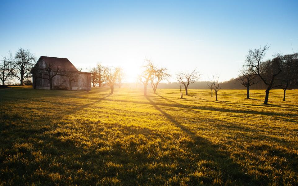 Sunrise over open fields