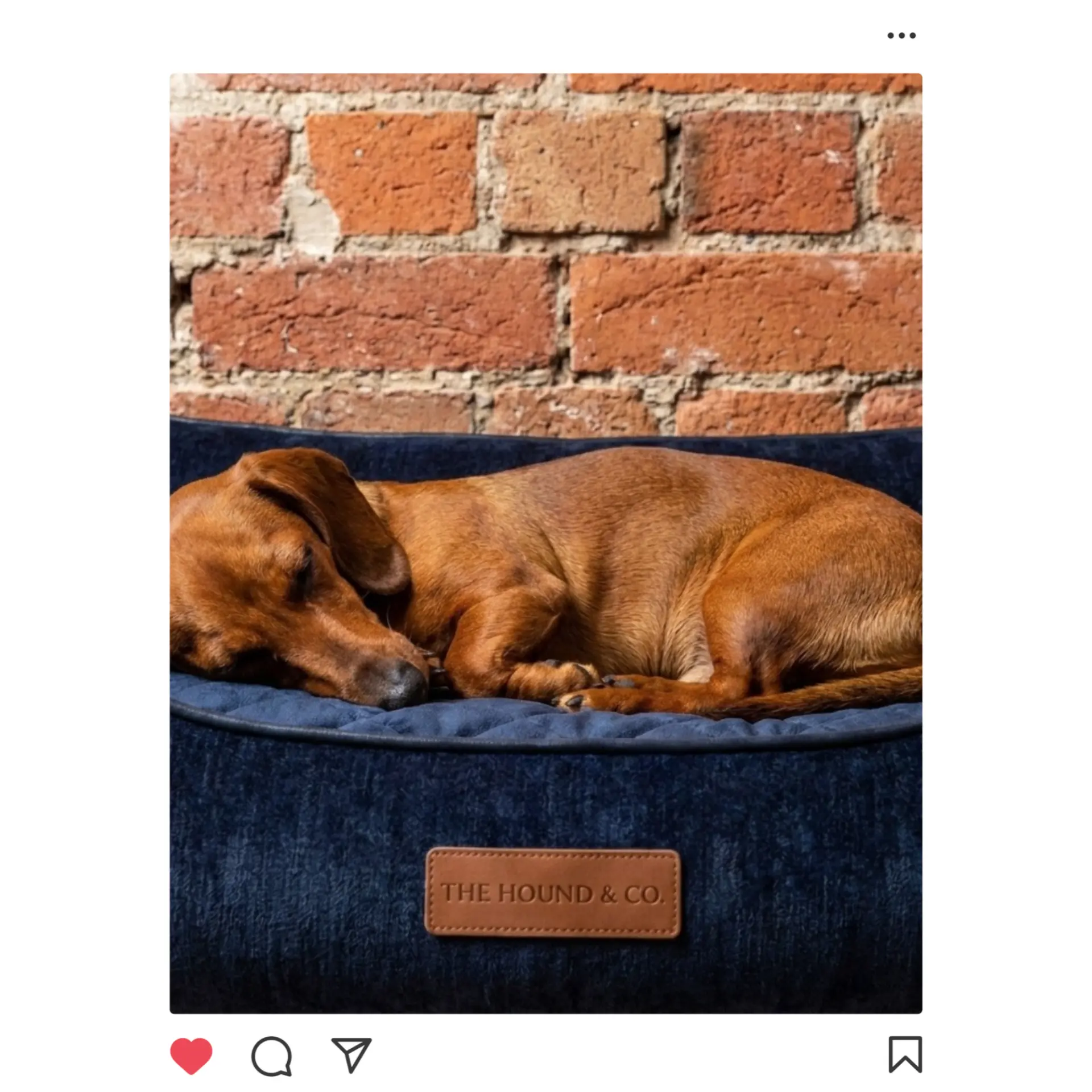 Instagram post from D'Arcy of Innis