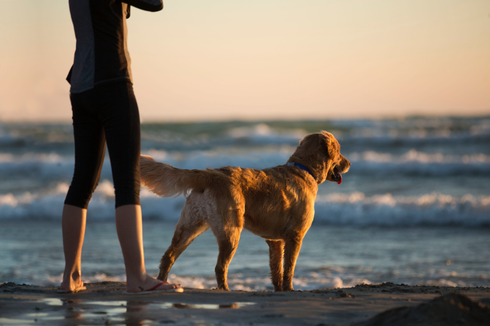 A woman walking her dog outdoors